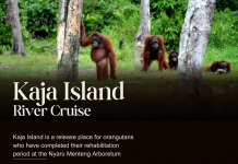 KAJA ISLAND RIVER CRUISE