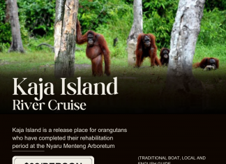 KAJA ISLAND RIVER CRUISE