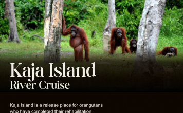 KAJA ISLAND RIVER CRUISE