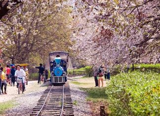 NAMI EVERLAND – I SEOUL U HAN RIVER – HANOK VILLAGE