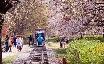 NAMI EVERLAND – I SEOUL U HAN RIVER – HANOK VILLAGE