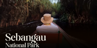 THE BLACK WATER SEBANGAU NATIONAL PARK