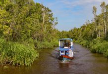 Taman Nasional Tanjung Puting, Pilihan Tepat Paket Study Tour Kalimantan Tengah
