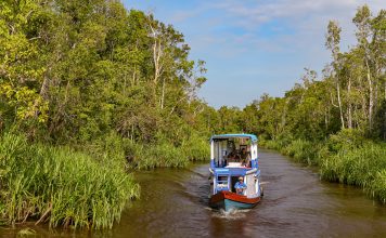 Taman Nasional Tanjung Puting, Pilihan Tepat Paket Study Tour Kalimantan Tengah