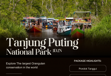 TOUR TANJUNG PUTING NATIONAL PARK (3D2N)