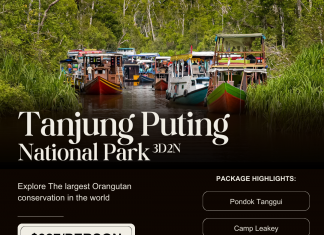 TOUR TANJUNG PUTING NATIONAL PARK (3D2N)
