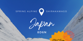 JAPAN SPRING ALPINE ROUTE + SHIRAKAWAGO 8D6N