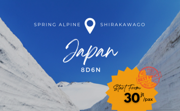JAPAN SPRING ALPINE ROUTE + SHIRAKAWAGO 8D6N
