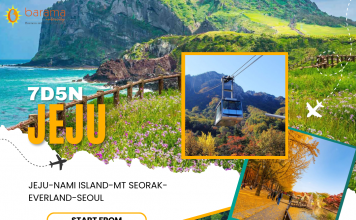 KOREA JEJU 7 HARI 5 MALAM