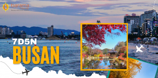 BUSAN WITH POHANG SPACE WALK 7 HARI 5 MALAM